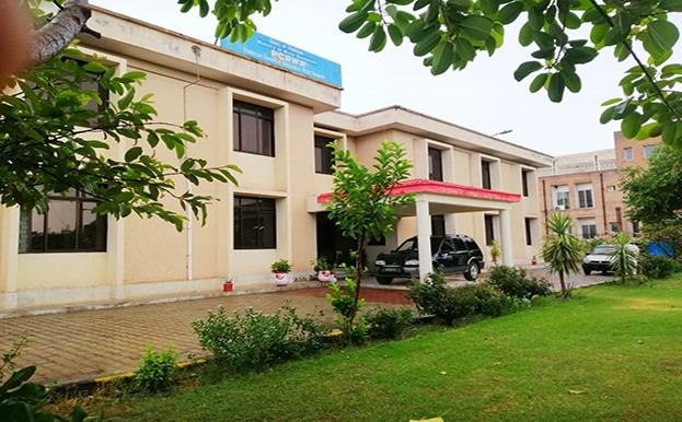 Matta Government College